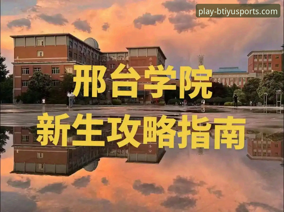 B体育官网登录 B体育平台登录的7大关键要点:从下载到安全使用的完整指南