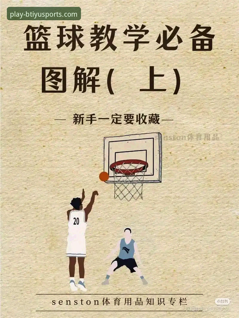 B体育平台使用指南：从新手到高手的完整操作教程